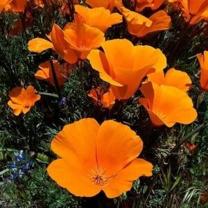 Extra shipping label